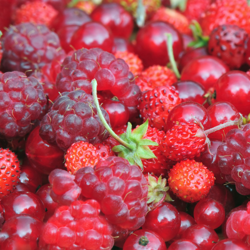 Fruits rouges