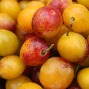 Note de tête : Mirabelle - Arôme de thé