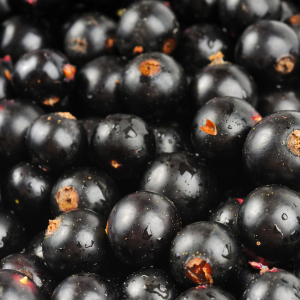 Note de cœur : Cassis - Arôme principal du thé
