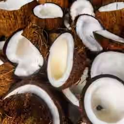 Note de tête : Noix de coco - Arôme de thé