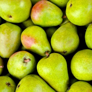 Note de tête : Poire - Arôme de thé